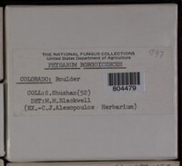 Image Associated With the Occurence